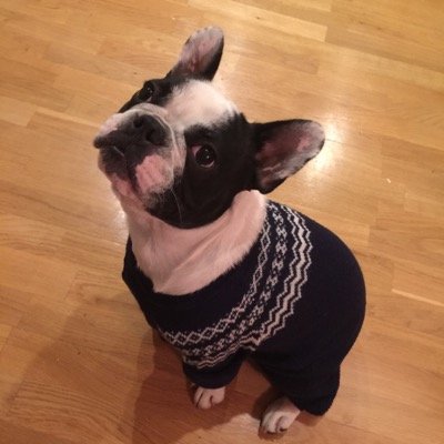 Profile Picture of Rodney Carey (@RodneyFrenchie) on Twitter