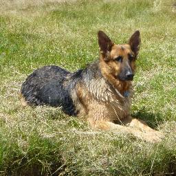 Profile Picture of Yvette Webb (@cheyennemissyl5) on Twitter