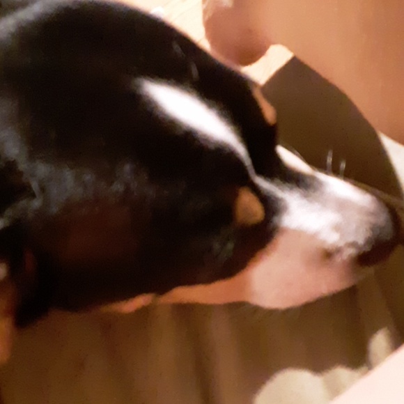 Profile Picture of Icy Icy (@kjckeefe48) on Poshmark