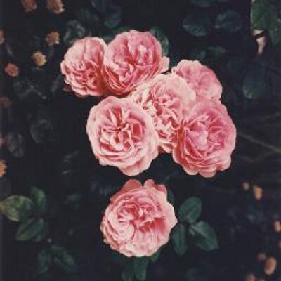 Profile Picture of Jessie Christania C (@JessieTan_09) on Twitter