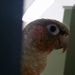 Profile Picture of L (@lillianlorenc) on Pinterest