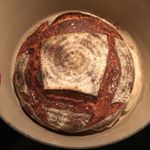 Profile Picture of Amanda Licea (@amandalicea) on Instagram