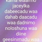 Profile Picture of Halas Joseph (@dofsahal) on Instagram