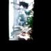 Profile Picture of David Mamo (@davidrmamo) on Pinterest