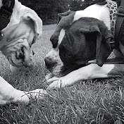 Profile Picture of Chris Bedford (@chrisbedford668) on Youtube