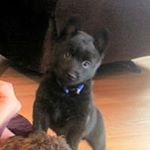 Profile Picture of Phillip Wilcox (@wilcox.phillip) on Instagram