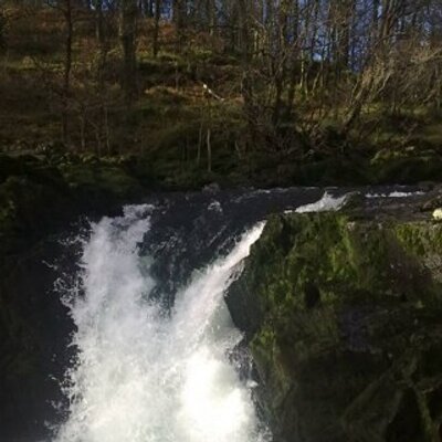 Profile Picture of Andrea Harkness (@AngedAndy) on Twitter
