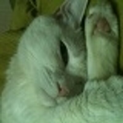 Profile Picture of Jay Jung (@dia1117) on Twitter