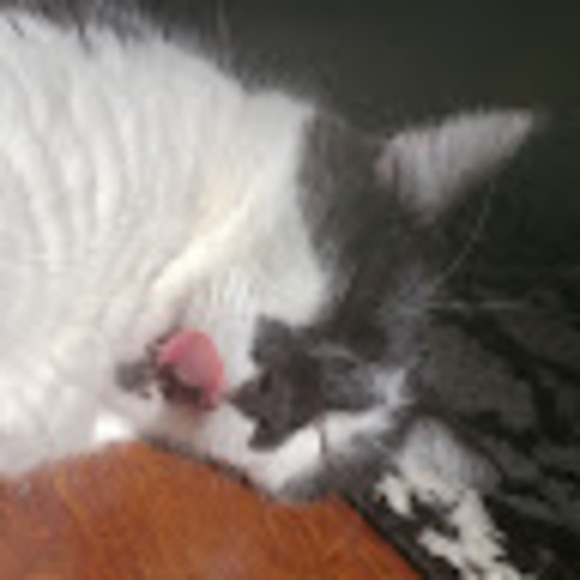 Profile Picture of James Broome (@hockeyfreak207) on Poshmark