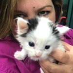 Profile Picture of Kim Fontenot-Waddle (@kimbeaux_w) on Instagram