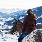 Julia Hillebrand - Instagram Profile Picture of Julia Hillebrand (@hillebrand.julia) on Instagram