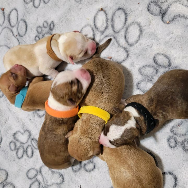 Profile Picture of Thomas Walck (@thomaswalck2022) on Tiktok