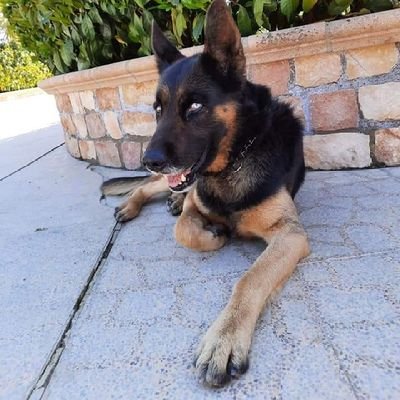 Profile Picture of Marie Anne Laurent (@MarieAnneLaure4) on Twitter