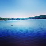 Profile Picture of Miranda Brink Roth (@vtsmroth) on Instagram