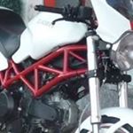 Profile Picture of Maurizio Cerri (@maurizio.cerri1) on Instagram