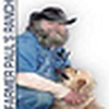 Profile Picture of Farmer Paul (@Farmer Paul) on Flickr