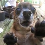 Profile Picture of Ada Alfonso (@montesino523) on Instagram