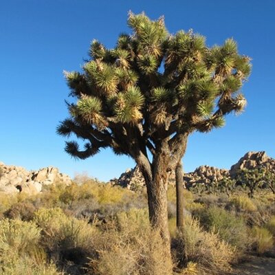 Profile Picture of Eric Goode (@ericgoodenyc) on Twitter