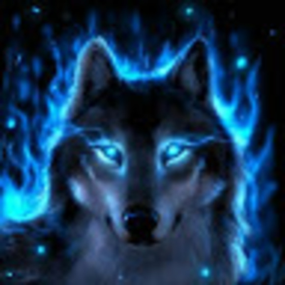 Profile Picture of Wolf God (@lathanengberg) on Poshmark