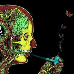 Profile Picture of Nathan Bolduc (@Stoner8mybaby) on Twitter