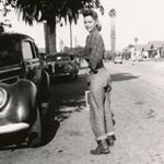 Profile Picture of Cloverfox (@cloverfoxcollection) on Instagram