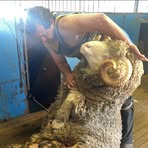 Aaron Davison - Facebook Profile Picture of Aaron Davison (@aaron.davison.2025) on Facebook