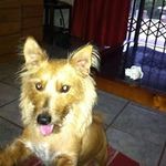 Profile Picture of Ralph Reed (@ralphreed60) on Instagram