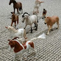 Profile Picture of Amanda Job (@amanda-job-5) on Quora