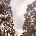 Profile Picture of Brian (@briann.velarde) on Instagram