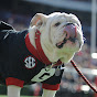 Profile Picture of Georgia Bulldogs on Dawg Post (@@DeanLegge) on Tiktok