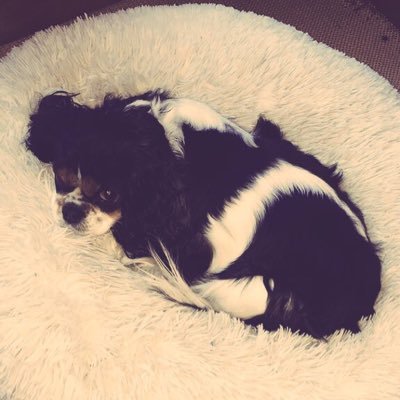 Profile Picture of Penny Loo (@pennyisbomb) on Twitter