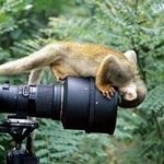 Profile Picture of Chris Rone (@godmaga) on Instagram