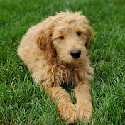 Profile Picture of Lisa Coffman (@lisacoffman6081) on Youtube