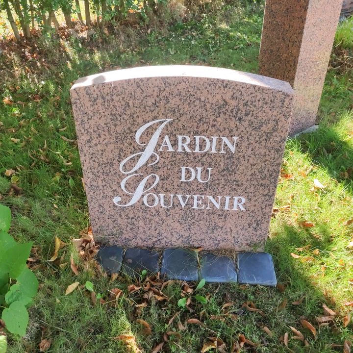 Profile Picture of Julien (@juliennopost) on Tiktok