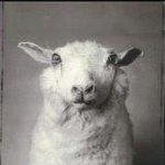Profile Picture of barry ashworth (@eatcarpet) on Instagram