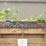 Profile Picture of RawDonald's Living Kitchen (@rawdonalds) on Instagram