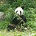 Profile Picture of Tony Yao (@tony.yao.7712) on Facebook