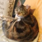 Carole Maslin - Facebook Profile Picture of Carole Maslin (@carole.maslin.7) on Facebook