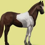 Profile Picture of Aginieszka Piotrowska (@aginieszka.piotrowska) on Facebook