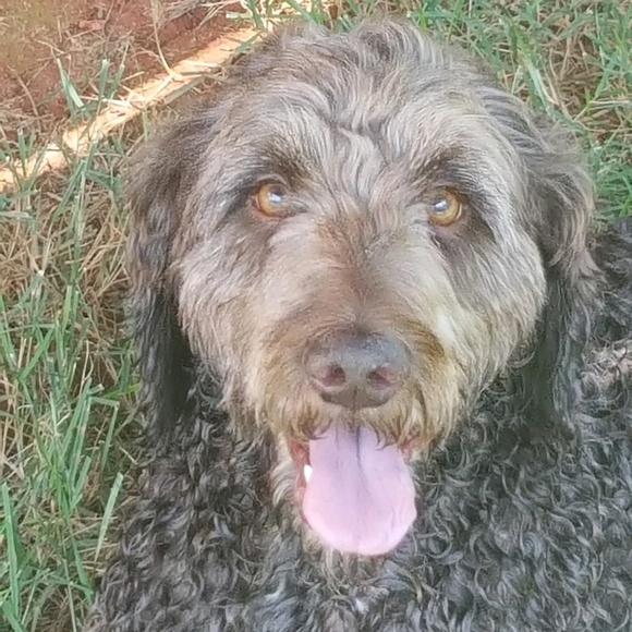 Profile Picture of Erica Mccraw (@ericabrooke1018) on Poshmark