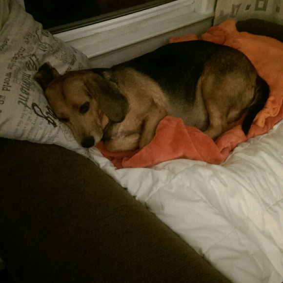 Profile Picture of Becky Duprat (@bduprat) on Poshmark