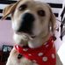 Profile Picture of Terry  Carol Caddy (@carol.caddy.7) on Facebook