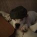 Profile Picture of Bob Ogles (@bob.ogles.1) on Facebook