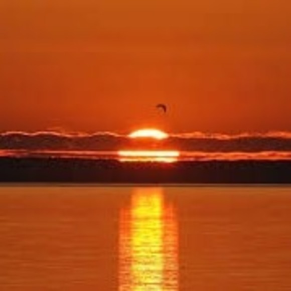 George Clavenna - Poshmark Profile Picture of George Clavenna (@visionrus) on Poshmark