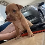 Profile Picture of Romario M Freitas (@Romario-M-Freitas) on Facebook