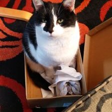 Profile Picture of Nick Everitt (@NickEveritt1) on Twitter