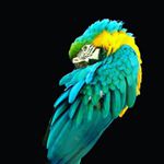 Profile Picture of Давид Кузнецов (@davidkuznetsov35) on Instagram