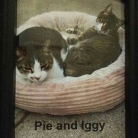 Profile Picture of Sherry Stevens (@sherry-stevens-36) on Quora