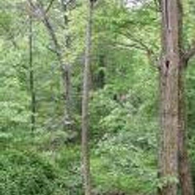 Profile Picture of Penelope Mooney (@Penelopela86) on Twitter