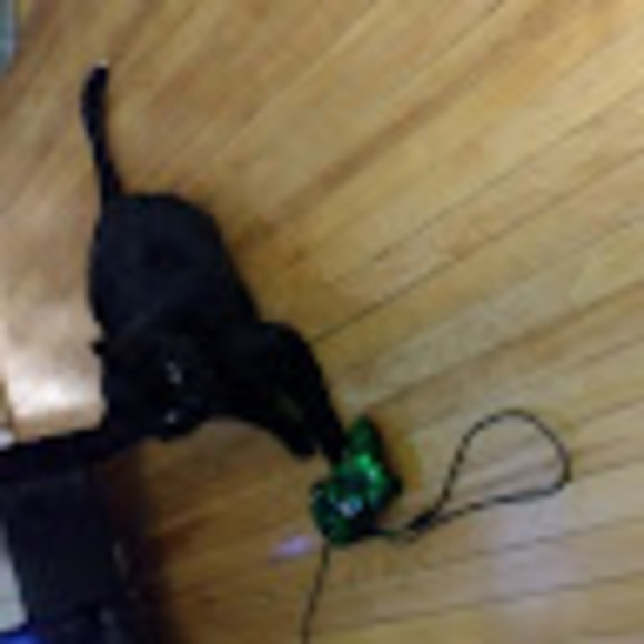 Profile Picture of Amy Beauchamp (@amybeauchamp290) on Poshmark